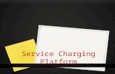 Service Charging Platform. Charging & Rating Engine 0 Quota Manager 0 Counter Type Management 0 Screen Units and Multiplier 0 Destination Matching Criteria.