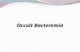 Occult Bacteremia. Patients with occult bacteremia do not have clinical evidence other than fever (a systemic response to infection). First described.