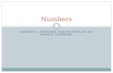 LESSON 1: FACTORS AND MULTIPLES OF WHOLE NUMBERS Numbers.