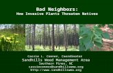 Cassie L. Conner, Coordinator Sandhills Weed Management Area Southern Pines, NC cassieconner@sandhillswma.org  Bad Neighbors: