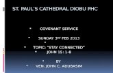 ST. PAUL’S CATHEDRAL DIOBU PHC  COVENANT SERVICE  SUNDAY 3 RD FEB 2013   TOPIC: “STAY CONNECTED”  JOHN 15: 1-8  BY  VEN. JOHN C. ADUBASIM.