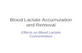 Blood Lactate Accumulation and Removal Effects on Blood Lactate Concentration.