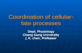 Coordination of cellular- fate processes Dept. Physiology Chang Gung University J. K. chen, Professor.