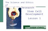 Stem Cell Development Lesson 1 The Science and Ethics of Stem Cell Research.