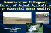 Manure-borne Pathogens: Impact of Animal Agriculture on Microbial Water Quality Jeanette A. Thurston-Enriquez USDA-ARS.