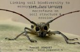 Linking soil biodiversity to ecosystem functioning Influence of soil macrofauna on soil structure & erosion Pascal JOUQUET IRD / France - pascal.jouquet@ird.fr.