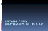 Predator Behavior  Numerical Response –  Predators will gather around a high density prey area  Predators “learn” where prey is (by experience or watching.