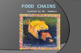 Created by Mr. Hemmert. Science ALCOS  L5.3 Tracing the flow of energy through a food chain Example: producer, first-level consumer, second-level consumer,