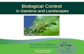 Biological Control in Gardens and Landscapes Statewide Integrated Pest Management Program.