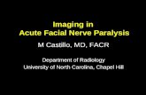 Imaging in Acute Facial Nerve Paralysis M Castillo, MD, FACR Department of Radiology University of North Carolina, Chapel Hill.
