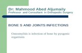 Dr: Mahmood Abed Aljumaily Professor and Consultant in Orthopedic Surgery BONE S AND JOINTS INFECTIONS Osteomylitis is infection of bone by pyogenic organisms.