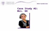 2010 Guidelines Case Study #2: Mrs. BR 2010 Guidelines.