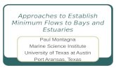Approaches to Establish Minimum Flows to Bays and Estuaries Paul Montagna Marine Science Institute University of Texas at Austin Port Aransas, Texas.