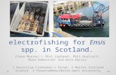 Ecological effects of electrofishing for Ensis spp. in Scotland. Fiona Murray 1,3, Phil Copland 2, Phil Boulcott 2, Mike Robertson 2 and Nick Bailey 2.