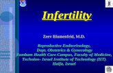 InfertilityInfertility Zeev Blumenfeld, M.D. Reproductive Endocrinology, Dept. Obstetrics & Gynecology Dept. Obstetrics & Gynecology Rambam Health Care.