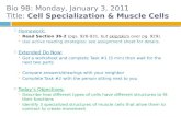 Bio 9B: Monday, January 3, 2011 Title: Cell Specialization & Muscle Cells  Homework:  Read Section 36-2 (pgs. 926-931, but skip/skim over pg. 929).