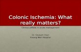 Colonic Ischemia: What really matters? Clinical pitfalls in acute management Dr. Stewart Chan Kwong Wah Hospital.