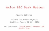Axion BEC Dark Matter Pierre Sikivie Vistas in Axion Physics Seattle, April 22-26, 2012 Collaborators: Ozgur Erken, Heywood Tam, Qiaoli Yang.
