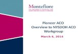 Pioneer ACO Overview to NYSDOH ACO Workgroup March 6, 2014.