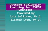 Outcome Evaluation Training for FVPSA Grantees Provided by Cris Sullivan, Ph.D. Eleanor Lyon, Ph.D.