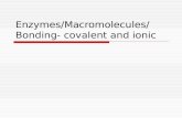 Enzymes/Macromolecules/Bo nding- covalent and ionic.