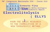 The Electrolitolysis ( ELLYS ) FROM THE BASIC RESEARCH TO THE FORMULATION OF A NEW THERAPEUTIC METHOD Ernesto Fina Dipartimento Nefro-Urologico A.O.R.N.