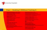 Pain – Healing It Without Feeling It Elizabeth Weinstein, M.D., M.S. Medical Director Supportive Oncology Seidman Cancer Center UH Case Medical Center.