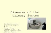 Diseases of the Urinary System Dee Dee Schumacher C.V.T.,V.T.S.(ECC), M.Ed. Casey Conway Jeannie Stall R.V.T. Google Images/ClipArt Alleice Summers.