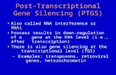 Post-Transcriptional Gene Silencing (PTGS) Also called RNA interference or RNAi Process results in down-regulation of a gene at the RNA level (i.e., after.