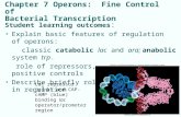 Chapter 7 Operons: Fine Control of Bacterial Transcription Student learning outcomes : Explain basic features of regulation of operons: classic catabolic.