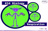 © Boardworks Ltd 2004 1 of 36 KS4 Biology Respiration.