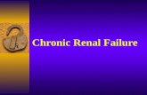 Chronic Renal Failure.  General introduction  Etiology  Pathogenesis  Clinical findings  Complications  Diagnosis &D.D.  Treatment Chronic Renal.
