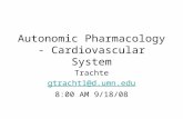 Autonomic Pharmacology - Cardiovascular System Trachte gtracht1@d.umn.edu 8:00 AM 9/18/08.