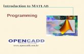 Introduction to M ATLAB Programming .
