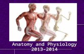 Anatomy and Physiology 2013-2014. Mrs. Tsimberg … I’ll have you introduce yourselves later in class to break things up a bit!