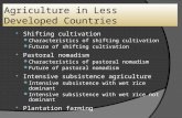 Agriculture in Less Developed Countries  Shifting cultivation Characteristics of shifting cultivation Future of shifting cultivation  Pastoral nomadism.