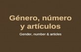 Género, número y artículos Gender, number & articles.