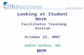 Looking at Student Work Facilitator Training Session October 22, 2007 Judith Zorfass, EDC.