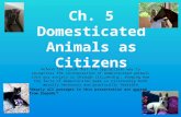 Ch. 5 Domesticated Animals as Citizens Defend the claim that the appropriate way to recognizes the incorporation of domesticated animals into our society.