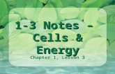 1-3 Notes – Cells & Energy Chapter 1, Lesson 3. Cellular Respiration Cellular respiration transforms stored energy in food molecules into usable energy.