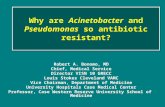 Why are Acinetobacter and Pseudomonas so antibiotic resistant? Robert A. Bonomo, MD Chief, Medical Service Director VISN 10 GRECC Louis Stokes Cleveland.