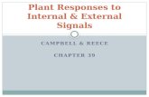 CAMPBELL & REECE CHAPTER 39 Plant Responses to Internal & External Signals.
