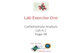 Lab Exercise 0ne Carbohydrate Analysis Lab A.1 Page 26.