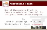 Macromedia Flash Use of Macromedia Flash to Create a Web-based Tutorial for Inorganic Qualitative Analysis By Prem D. Sattsangi, Ph.D. and † Christopher.