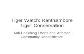 Tiger Watch: Ranthambore Tiger Conservation Anti-Poaching Efforts and Affected Community Rehabilitation.