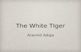 The White TIger Aravind Adiga. Corruption in India How corrupt is the Indian government? Recent corruption scandals What people are doing about it Anna.
