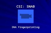 CSI: SNAB DNA Fingerprinting. Lesson Objectives Describe the uses for DNA Fingerprinting Explain the process of DNA Fingerprinting Discuss the ethics.