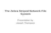 The Zebra Striped Network File System Presentation by Joseph Thompson.