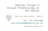 Seeing Things 2 Visual Processing in the Brain How Your Brain Works - Week 4 Dr. Jan Schnupp jan.schnupp@dpag.ox.ac.uk HowYourBrainWorks.net.