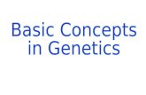 2 Genetic Information Gene – basic unit of genetic information. Genes determine the inherited characters. Genome – the collection of genetic information.